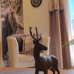 Wolf - Wohnung